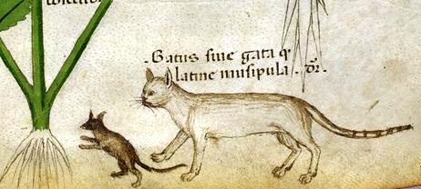 northumberlandbestiary