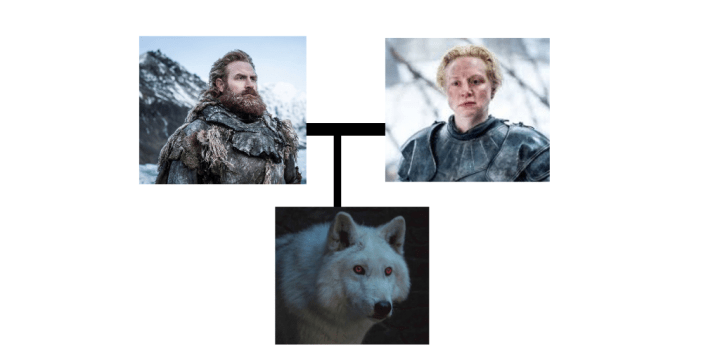 trojkatrodzinnyBrienne