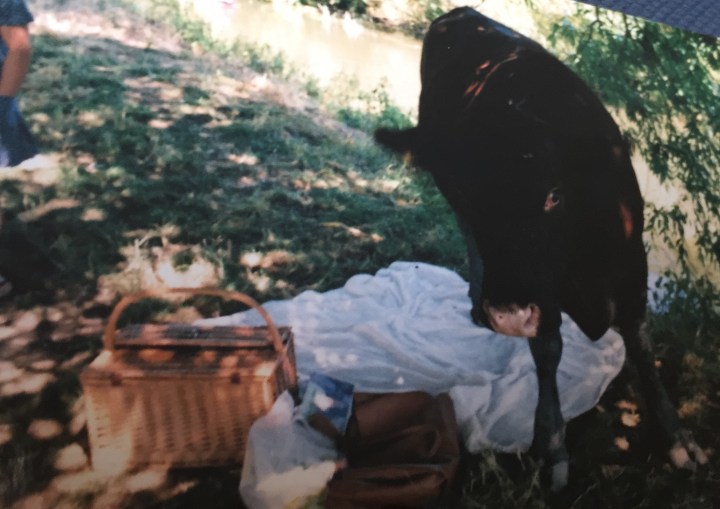 113F68CF-EC77-4492-9E7A-E5CAA43B38A3