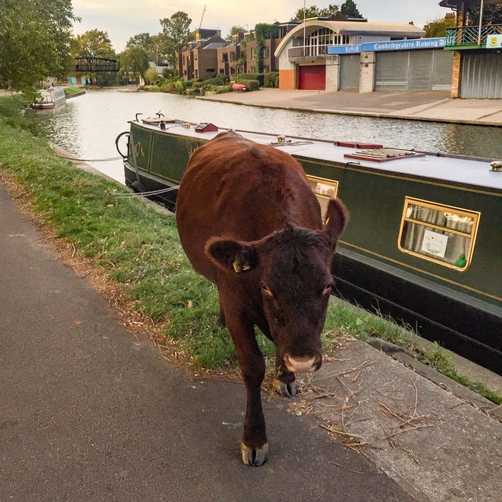 A333C33B-15EF-4331-8E8A-59640FC6E0AC